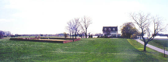 Bushy Park Cemetery